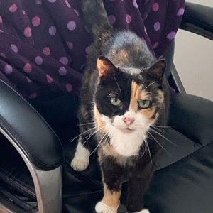 Meet your Posher, Emma